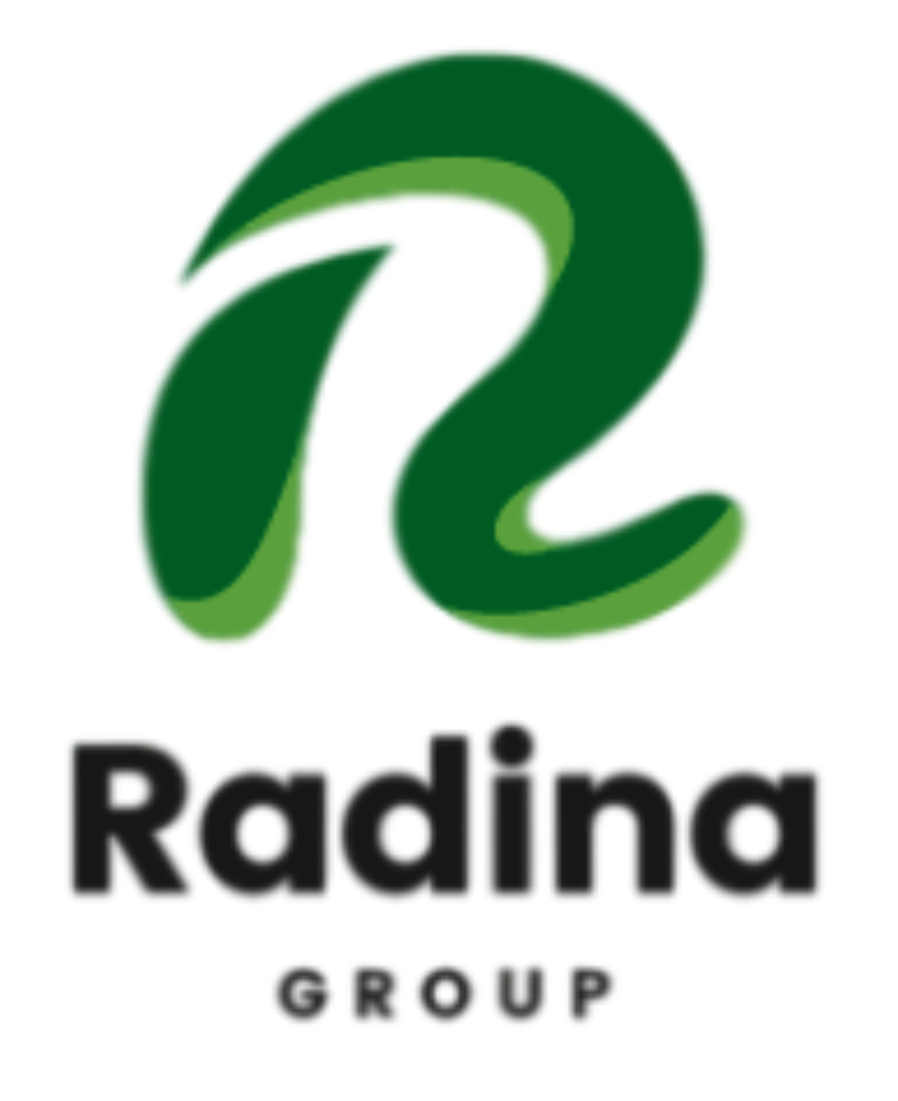 transparet 2nd Blue Simple Computer Logo1 (2) (1)